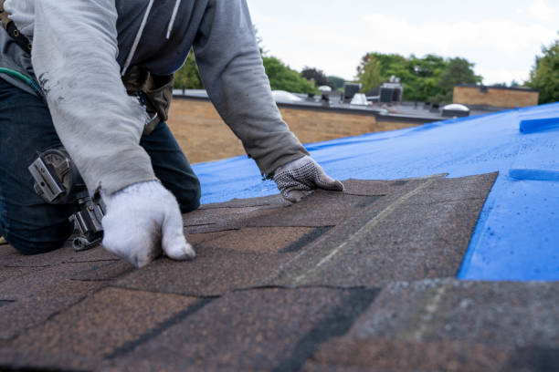 Best Roof Leak Repair  in Hansville, WA